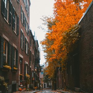 amanda-murphy-UMERikYzYvQ-unsplash